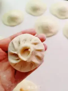 Make Chicken mushroom bag step 15