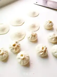 Make Chicken mushroom bag step 16