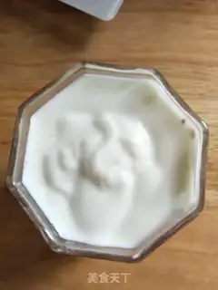 Make The yogurt plant step 3