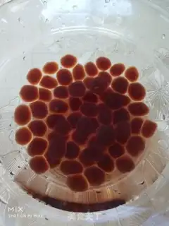 Make Pearl milk tea step 8