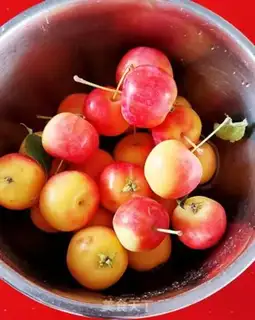 Make Fruit cans step 0