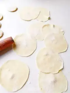 Make Pork dumplings step 10