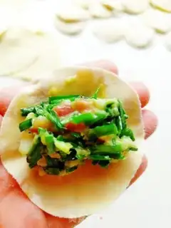 Make Pork dumplings step 11