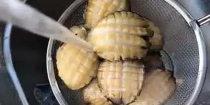 Make Abalone red meat step 0
