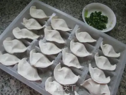 Make Frozen dumplings step 0