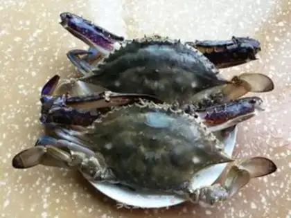 Make Crabs step 0