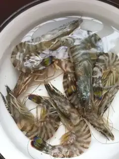Make White burning shrimp step 0