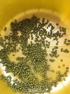 Make Porridge step 1