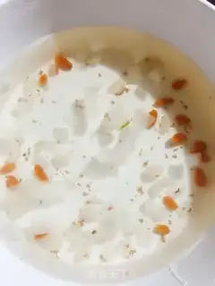 Make Snowflies step 2