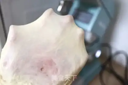 Make Milk lasagna step 2
