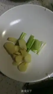 Make Squid step 2
