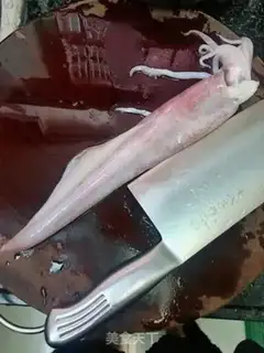 Make Shrimp sauerkraut step 1
