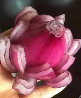 Make Onion Lotus step 5