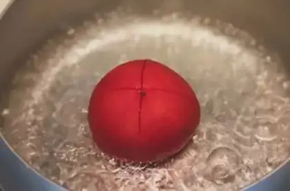 Make Tomato chicken chest step 3