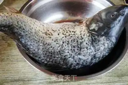 Make Fish pan step 0