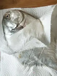 Make Red-burned mackerel step 4