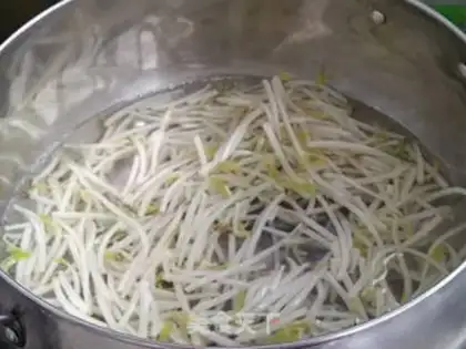 Make Squirt cucumber sprouts step 2
