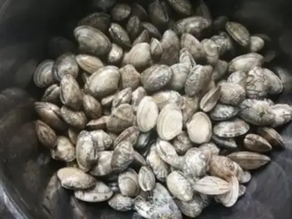 Make Soy flower clams step 0