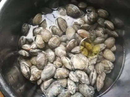 Make Vacuate clams step 2