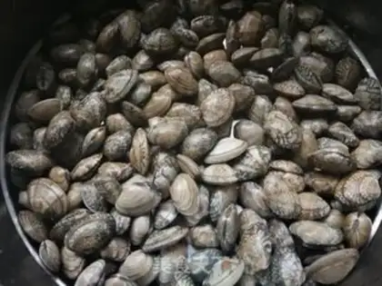 Make Vacuate clams step 4