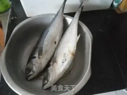Make Cheese juice, squirmfish step 0