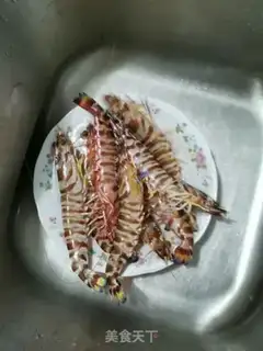 Make Shrimp stingling step 0