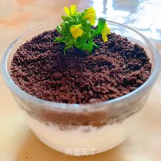 Make The yogurt plant step 4
