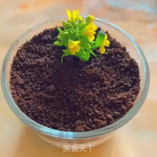 Make The yogurt plant step 5