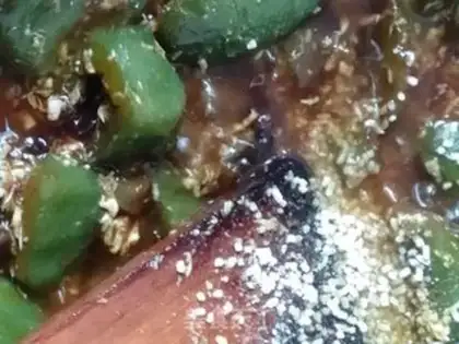 Make Sweet green pepper step 9