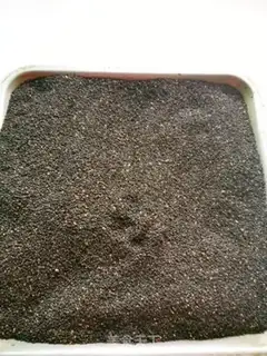 Make Homemade black sesame pie step 2