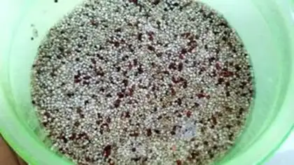 Make Red bean groceries step 0