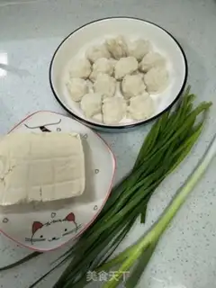Make Squirtball tofu step 0