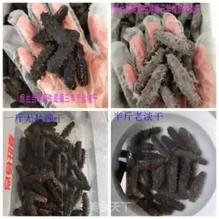 Make How to bubble dry sea cucumber step 0