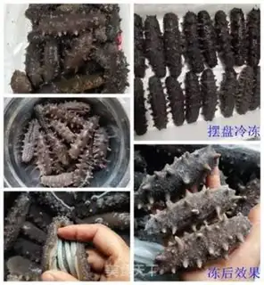Make How to bubble dry sea cucumber step 4
