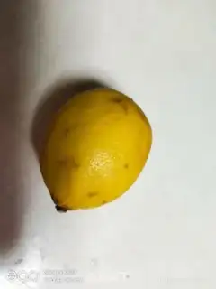 Make Lemon chicken step 1