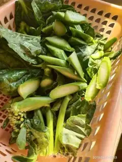 Make Garlic mustard blue step 1