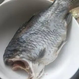 Make Squid soup step 0