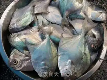 Make A white-burned minnow step 0