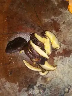 Make Sweet beans step 1