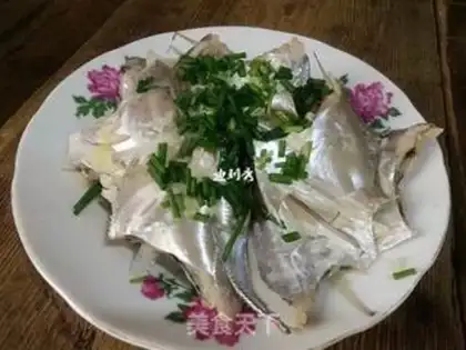 Make A white-burned minnow step 4