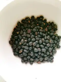 Make Black bean milk step 0