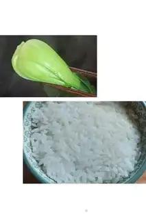 Make Frozen rice step 16