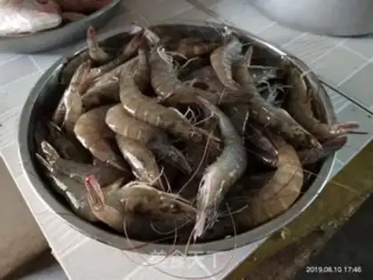 Make Boiled shrimp step 0