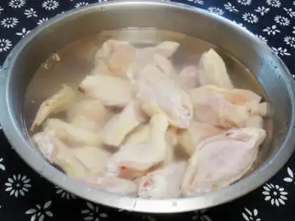 Make Pelican wings step 0