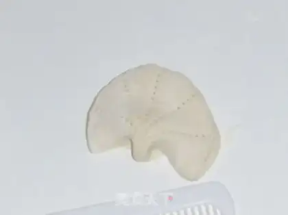 Make  step 4