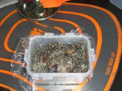Make  step 12