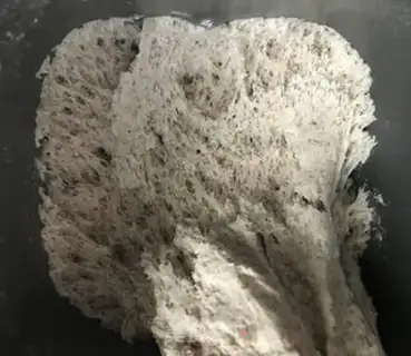 Make Onion-fresh rolls step 5