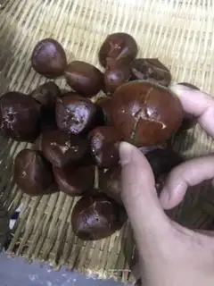 Make Chestnut step 0