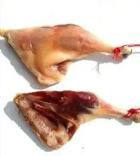 Make Steam duck leg step 0
