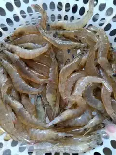 Make Red soup. Shrimp step 0